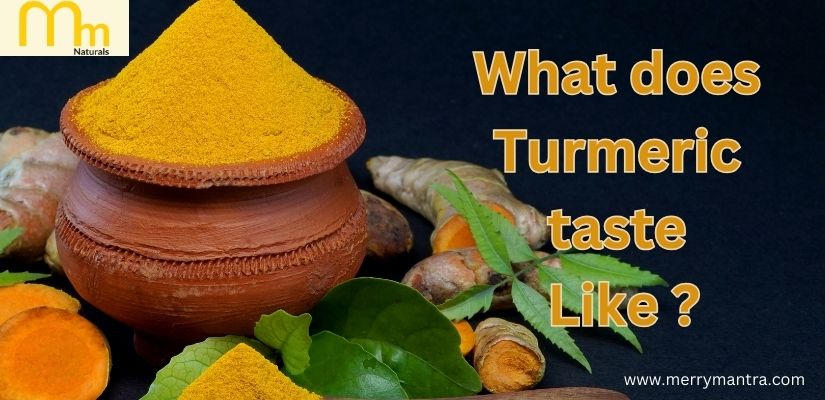 How does Turmeric taste Like